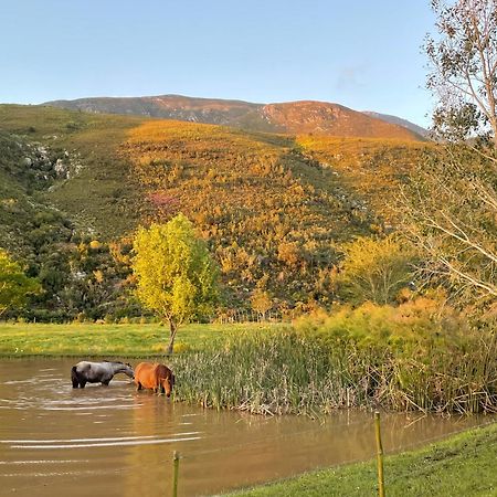 Frog Mountain Getaway Villa Swellendam Buitenkant foto