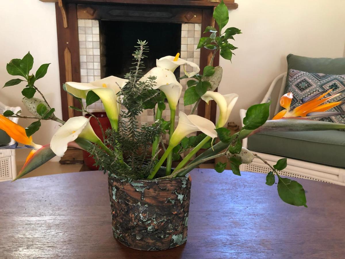 Frog Mountain Getaway Villa Swellendam Buitenkant foto