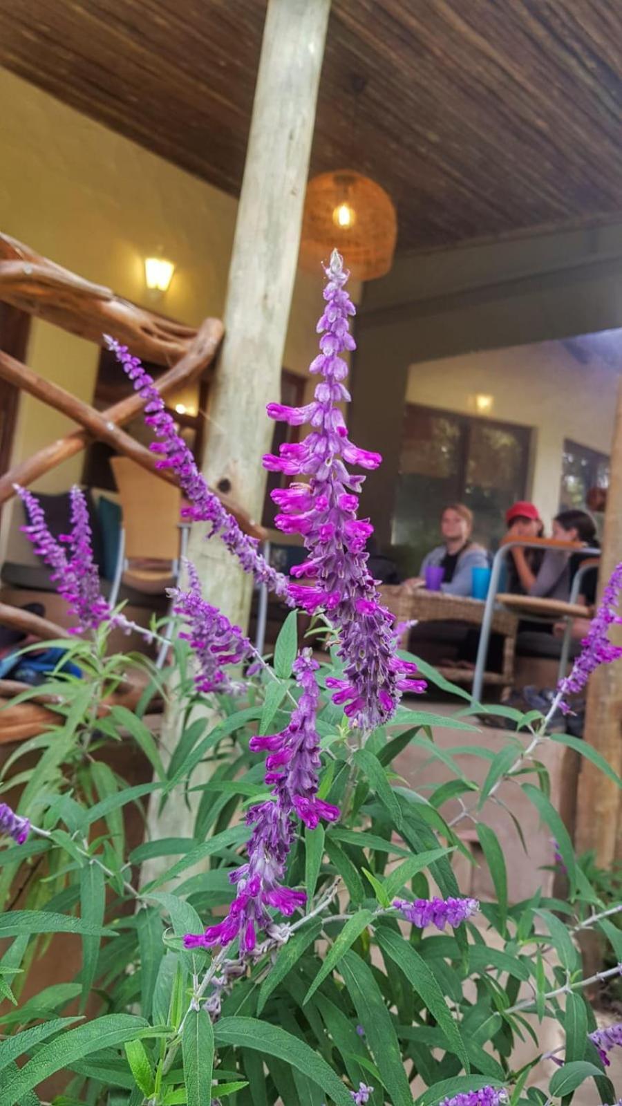 Frog Mountain Getaway Villa Swellendam Buitenkant foto