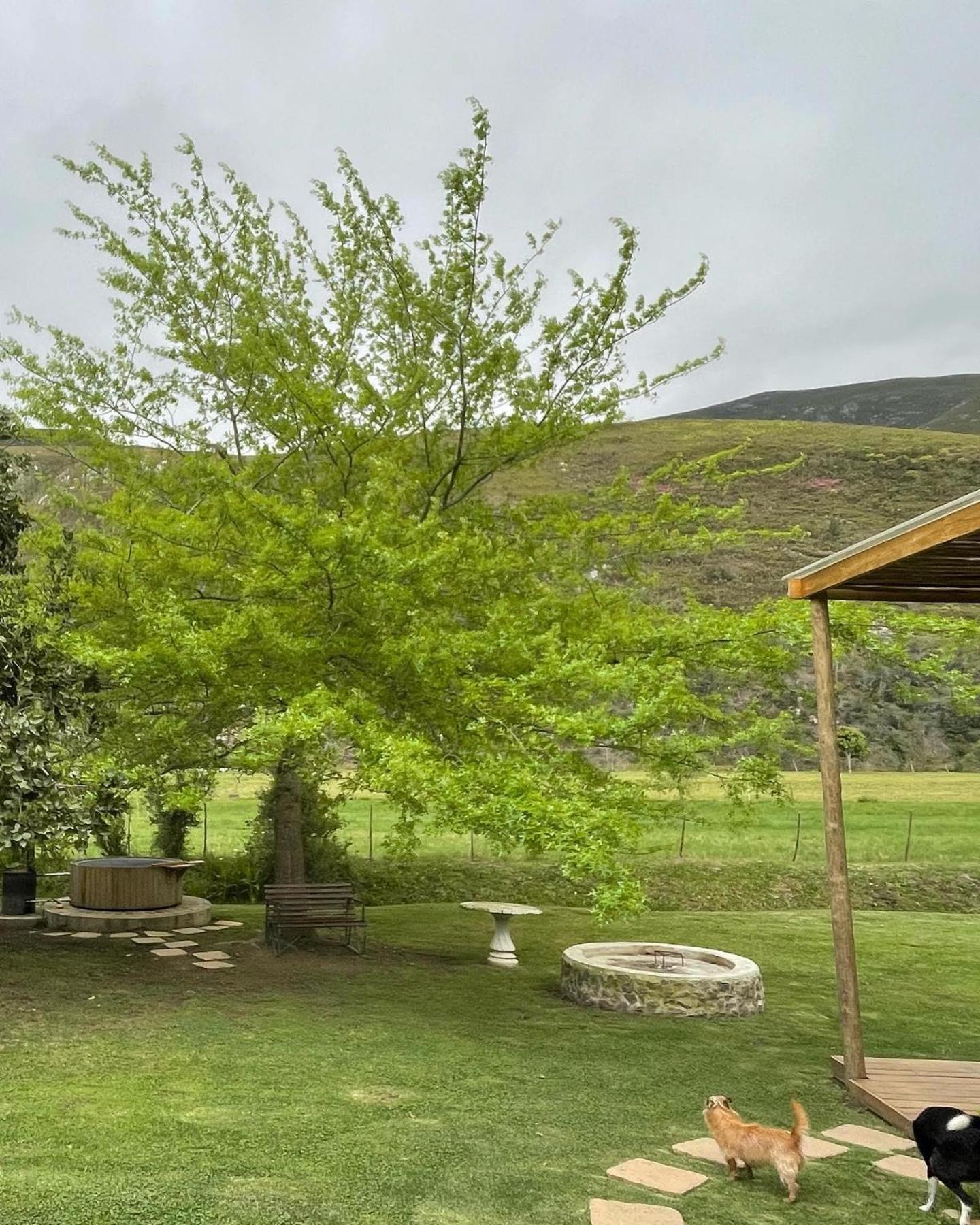 Frog Mountain Getaway Villa Swellendam Buitenkant foto