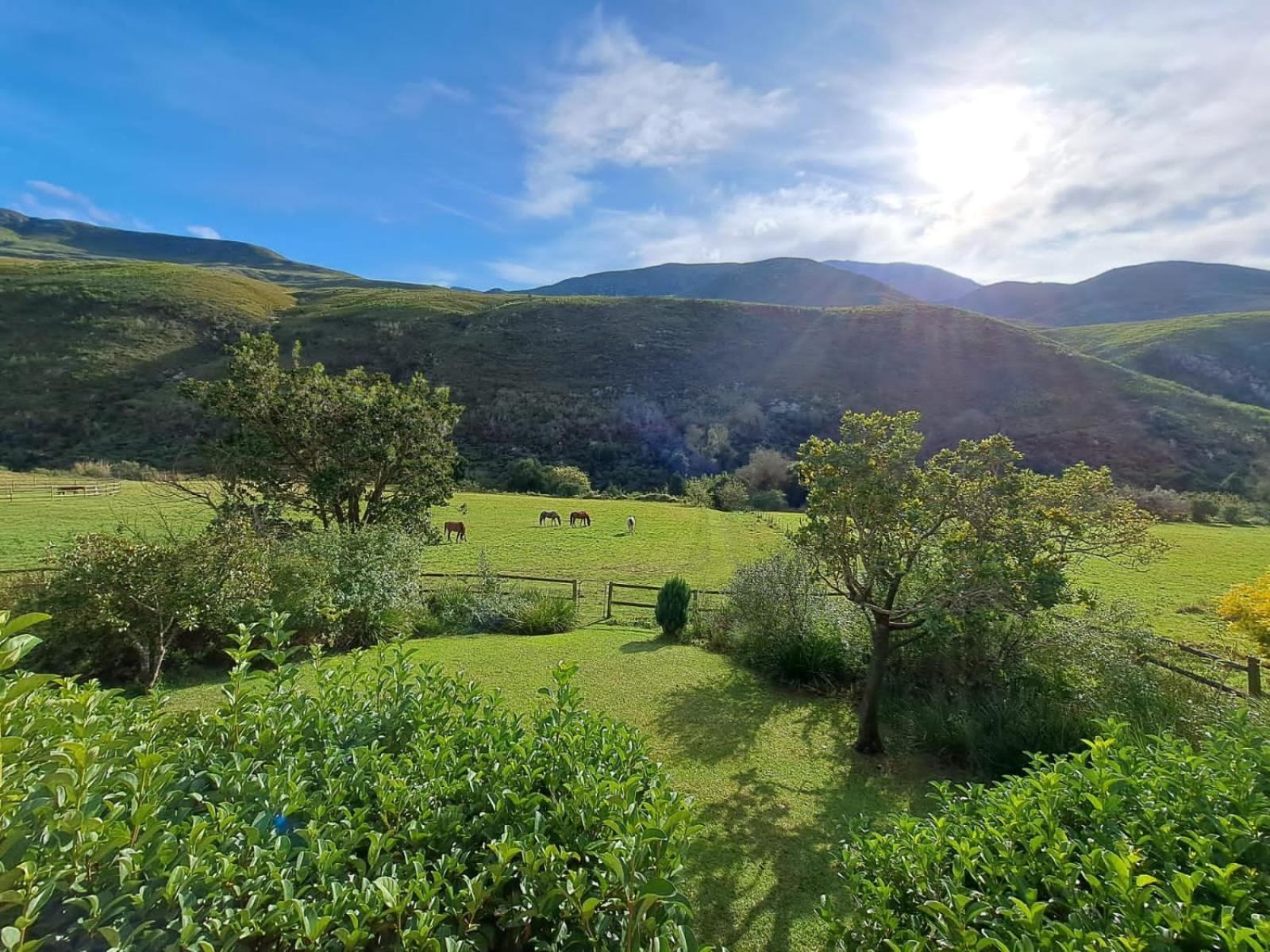 Frog Mountain Getaway Villa Swellendam Buitenkant foto