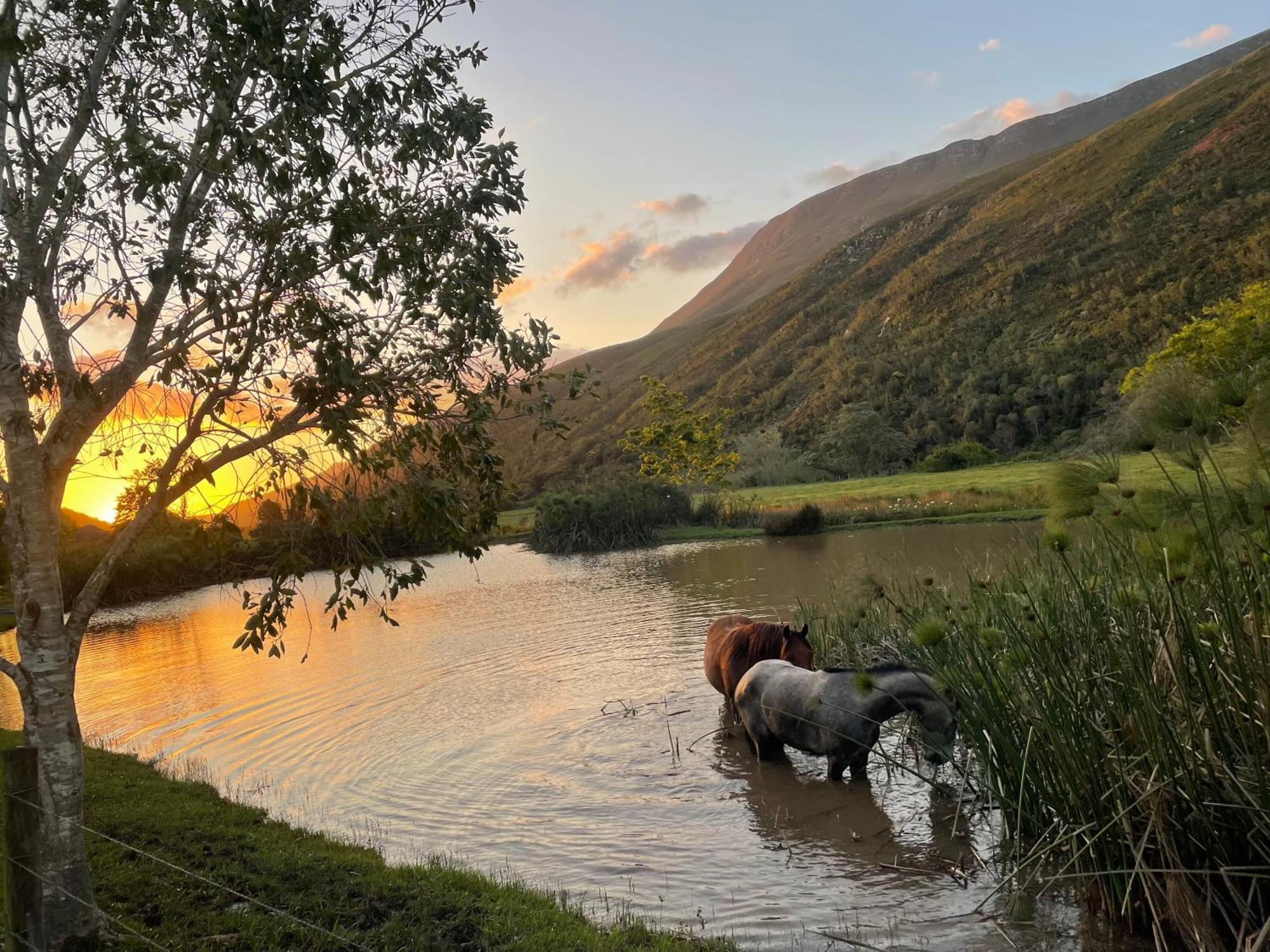 Frog Mountain Getaway Villa Swellendam Buitenkant foto