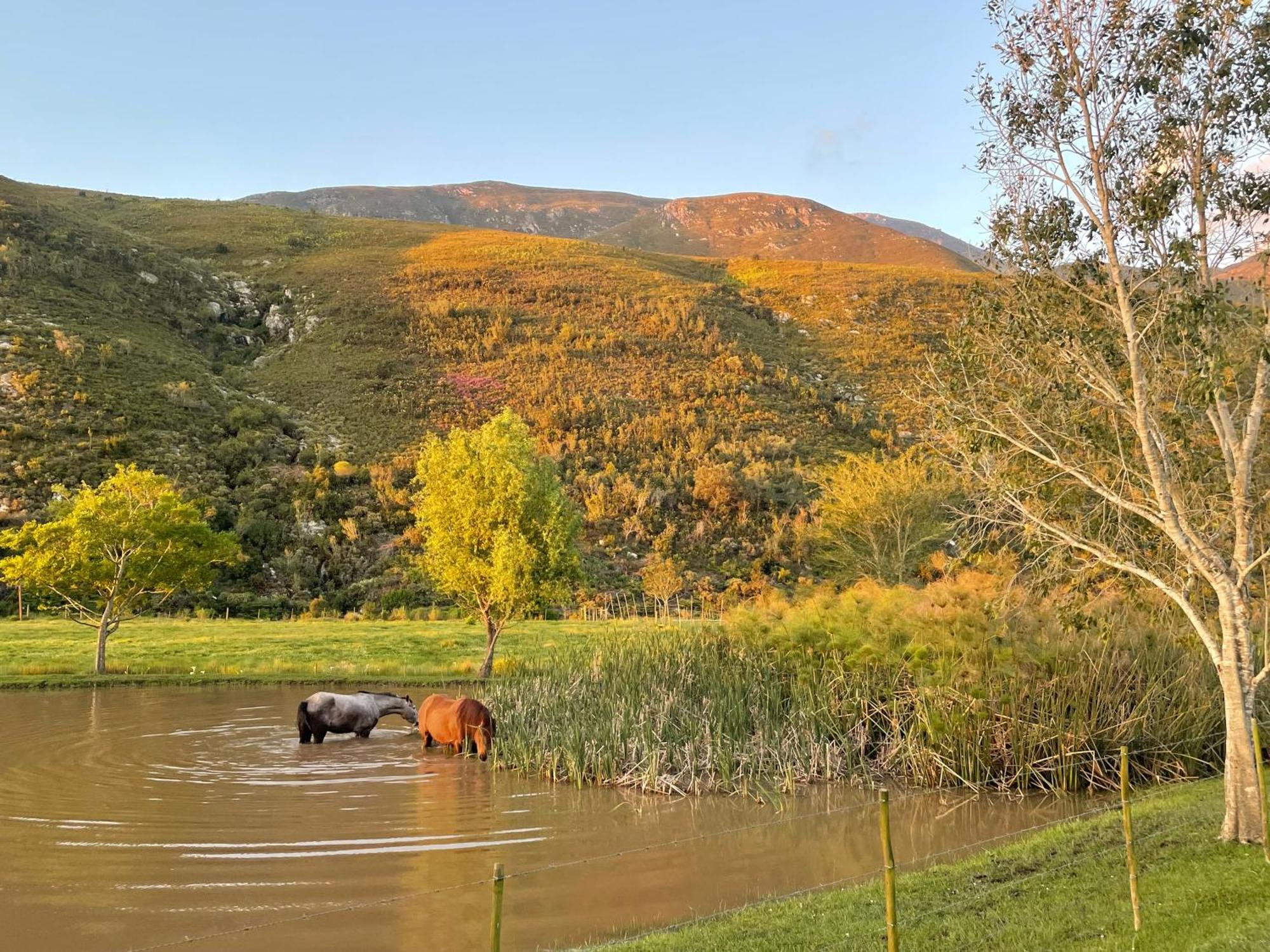 Frog Mountain Getaway Villa Swellendam Buitenkant foto