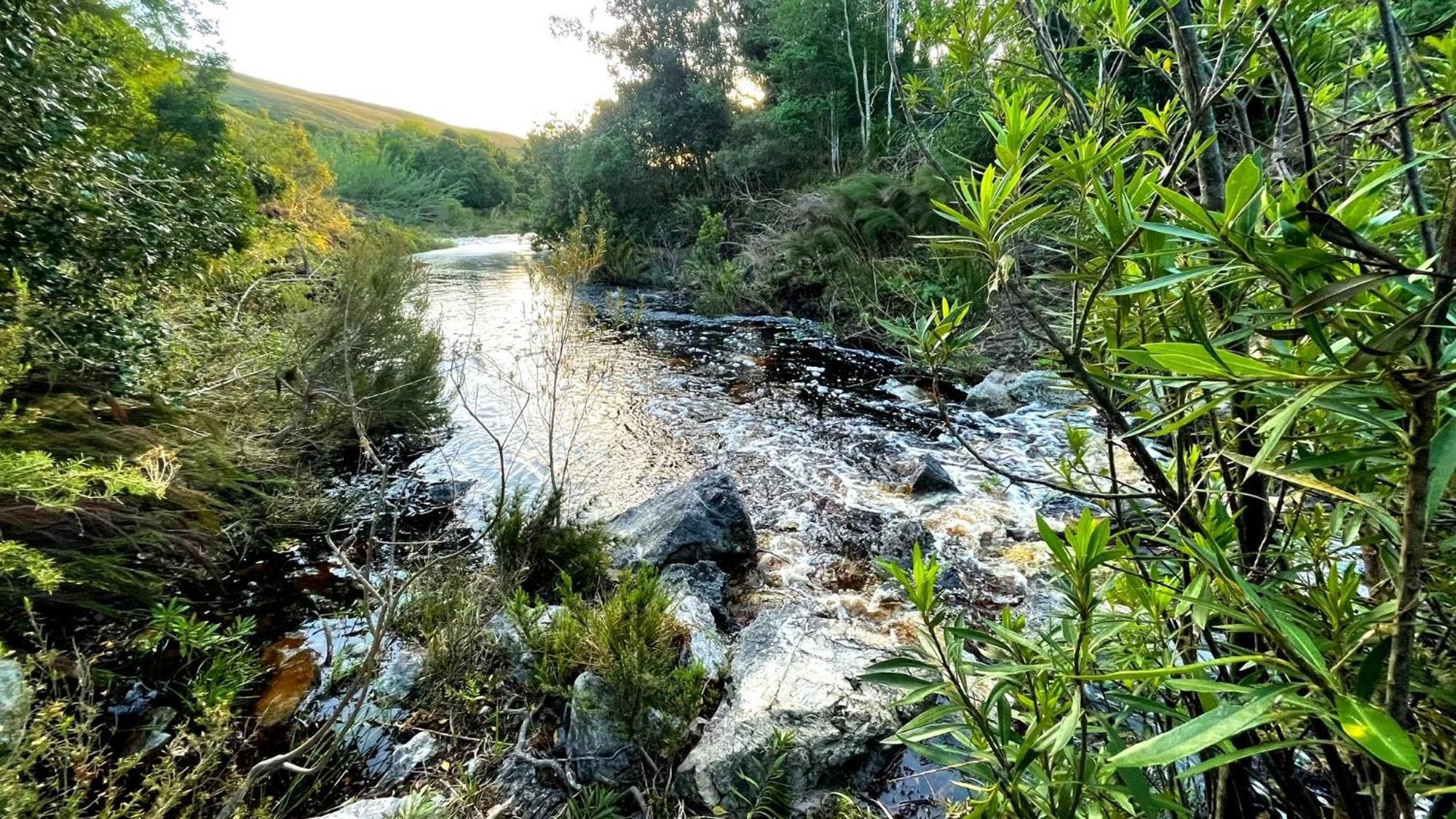 Frog Mountain Getaway Villa Swellendam Buitenkant foto